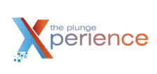 ThePlungeXperience